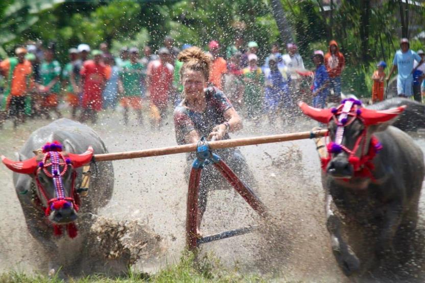 Barapan Kebo Buka Festival Pesona Moyo 2018