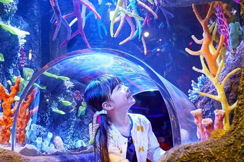 Legoland Malaysia Buka Wahana Sea Life pada April 2019