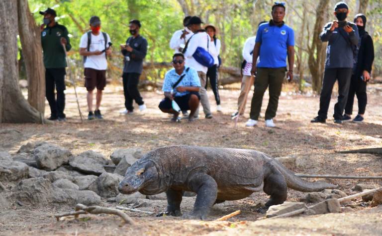 Kunjungan Wisatawan ke Taman Nasional Komodo Kini Diterapkan Registrasi Online