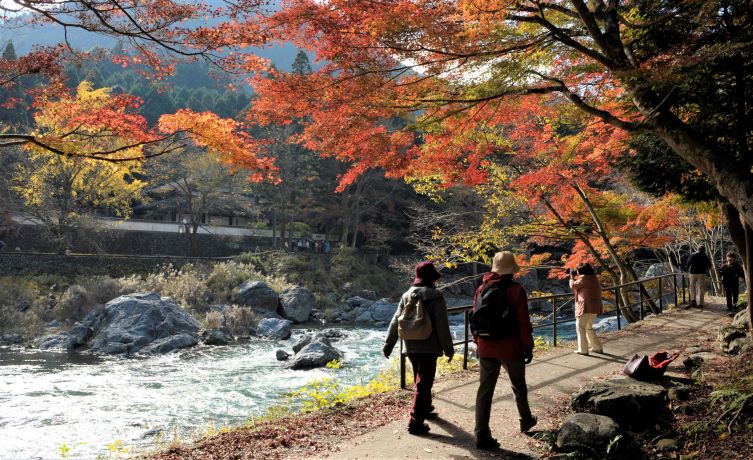 JNTO Luncurkan Program Japan Travel Specialist