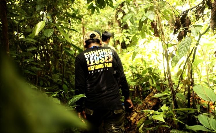 Kemenparekraf Tinjau Pola Perjalanan Wisata di Taman Nasional Gunung Leuser