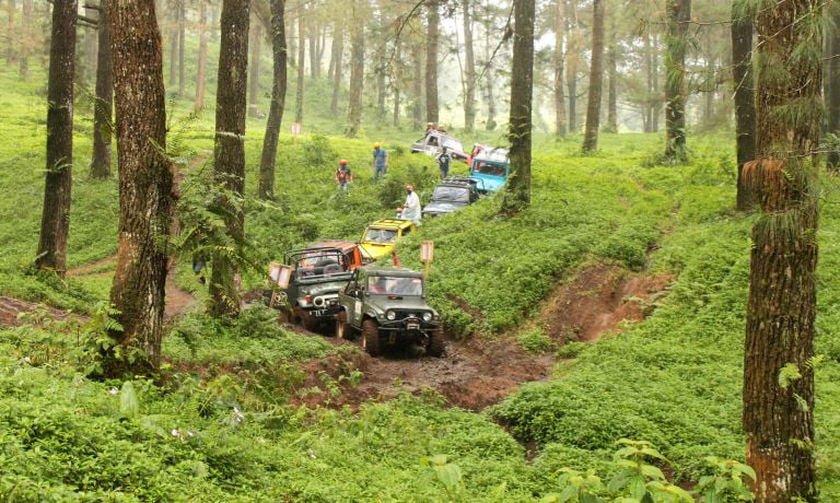 Menjelajah Hutan di Kaki Gunung Slamet Dengan Paket Offroad Batu Raden