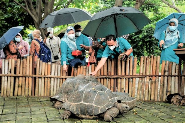 Kemenparekraf Ajak Nakes Berwisata ke Faunaland, Ancol