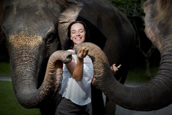 Jetwings Bali Bersama Bali Zoo Hadirkan Program Promosi eksklusif Untuk Wisatawan