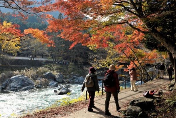 Jepang Telah Membuka Negaranya Untuk Wisatawan  Berkelompok dengan Pemandu