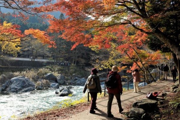 Panduan Kesehatan di Jepang Agar Wisatawan Aman dan Nyaman