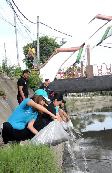 The 1O1 Bali Fontana Seminyak Lepaskan Bibit Ikan di Tukad Mati Legian Rayakan HUT ke-Sebelas 3 bibit ikanjg