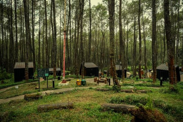 Kemenparekraf-Bizhare Fasilitasi Akses Pendanaan kepada Bobocabin untuk Ekspansi di Dieng.