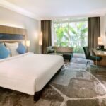 01 Deluxe Room King Bed