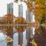 Seoul Forest