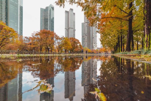 Keindahan Musim Gugur di Korea, Waktu Favorit Wisatawan Indonesia Berkunjung