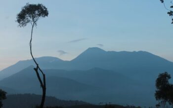 puncak