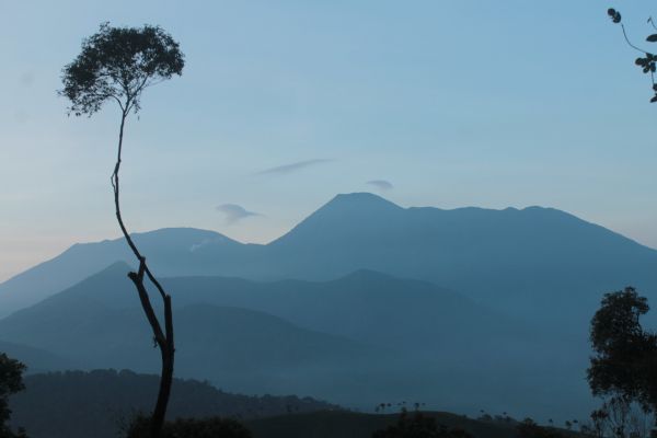 Kawasan Puncak Masuk 10 Besar  Destinasi Wisata Alam Terbaik di Asia Menurut Agoda