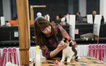 petexpo2