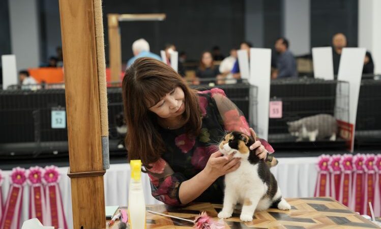 petexpo2