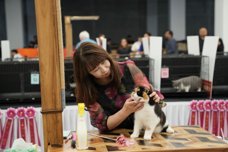Jakarta International Pet Show (JIPS) 2026 Hadirkan Pameran Dunia Hewan Peliharaan